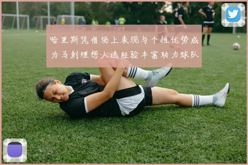 哈里斯凭借场上表现与个性优势成为马刺理想人选经验丰富助力球队发展