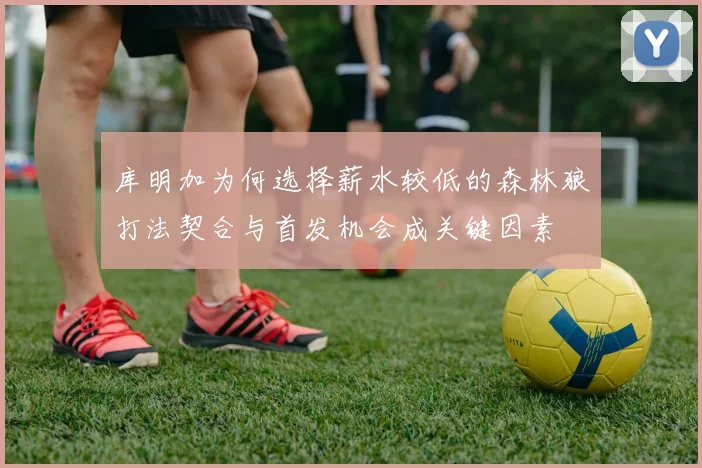库明加为何选择薪水较低的森林狼打法契合与首发机会成关键因素