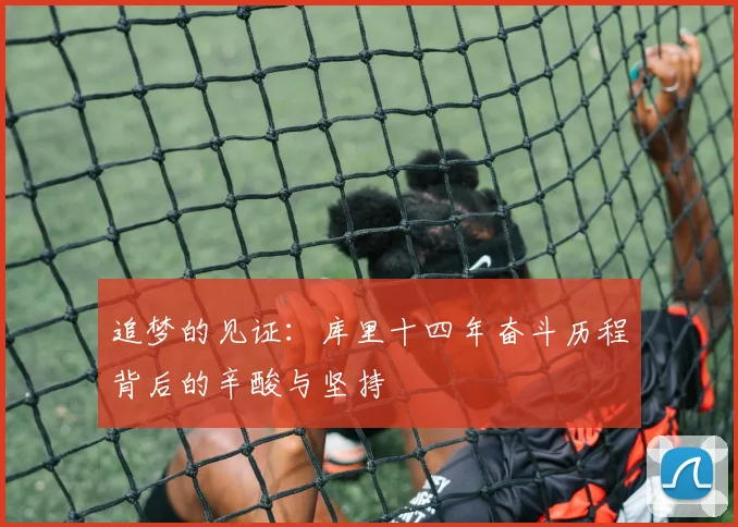 追梦的见证：库里十四年奋斗历程背后的辛酸与坚持