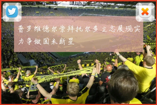 普罗维德尔崇拜托尔多立志展现实力争做国米新星